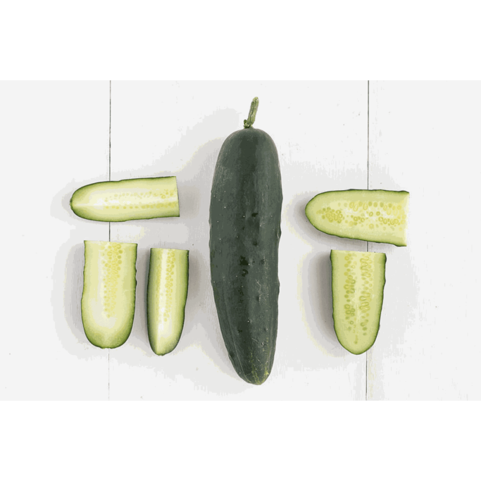 Pepino-organico_VEGETALES-DE-FRUTO-Y-FLOR_4062_1.png