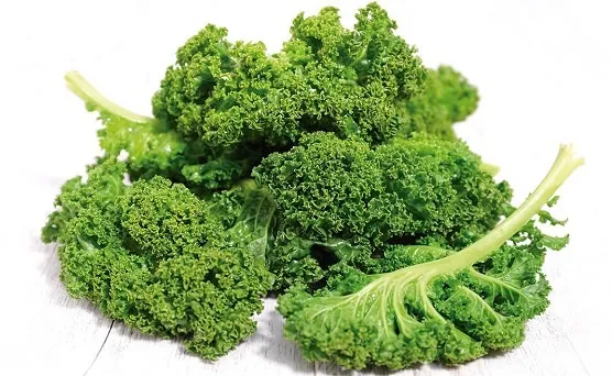 KALE RIZADO