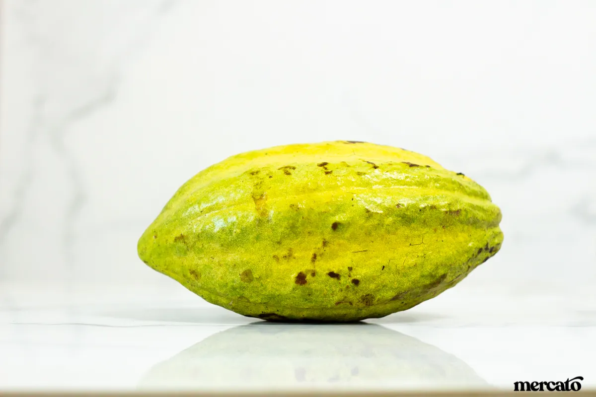 Cacao en fruta (unidad)