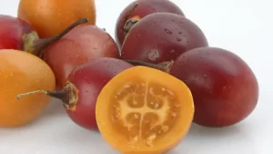 TOMATE DE PALO