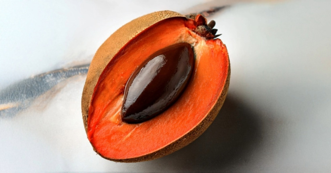 Zapote Orgánico Unidad