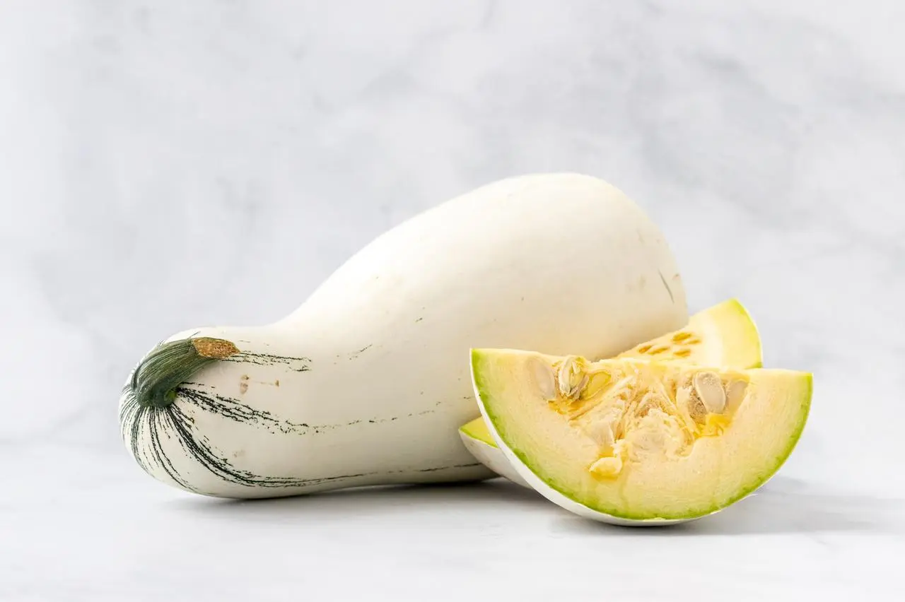 AYOTE PIPIAN ORGANICO