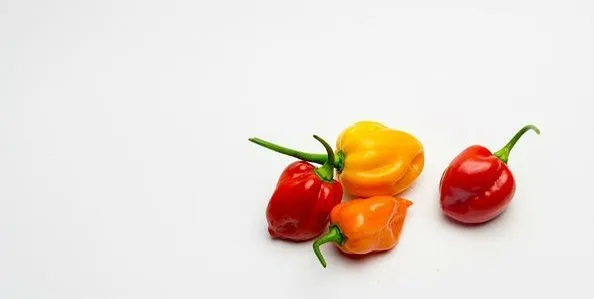 CHILE HABANERO UNIDAD