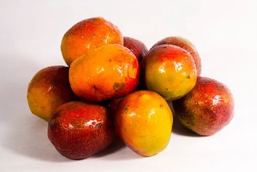 jocotes